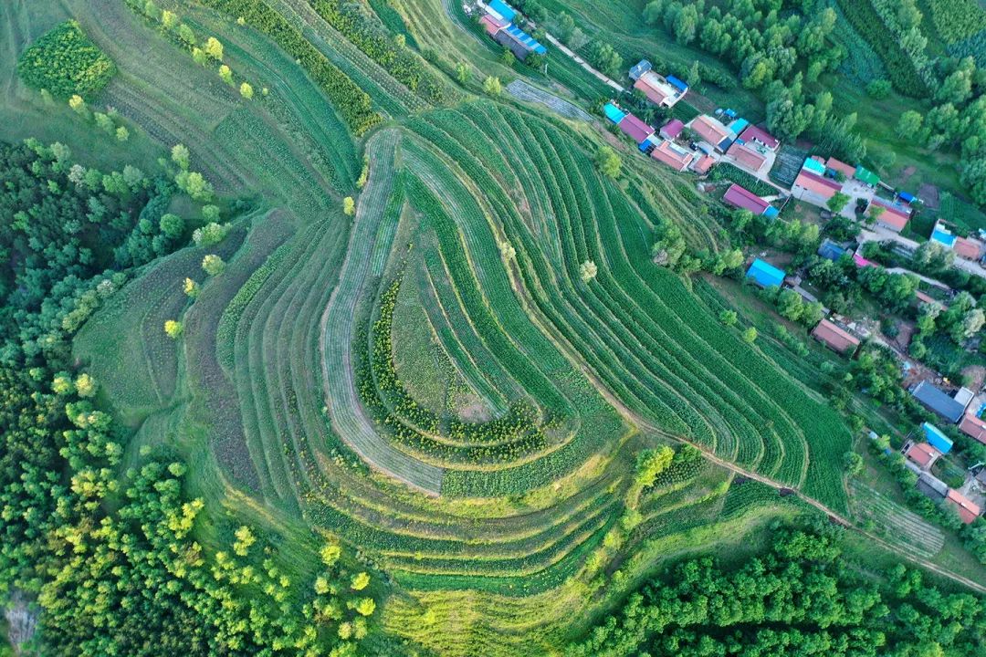 生態(tài)系統(tǒng)健康和管理——加強生態(tài)技術和工程管理，促進生態(tài)系統(tǒng)健康發(fā)展